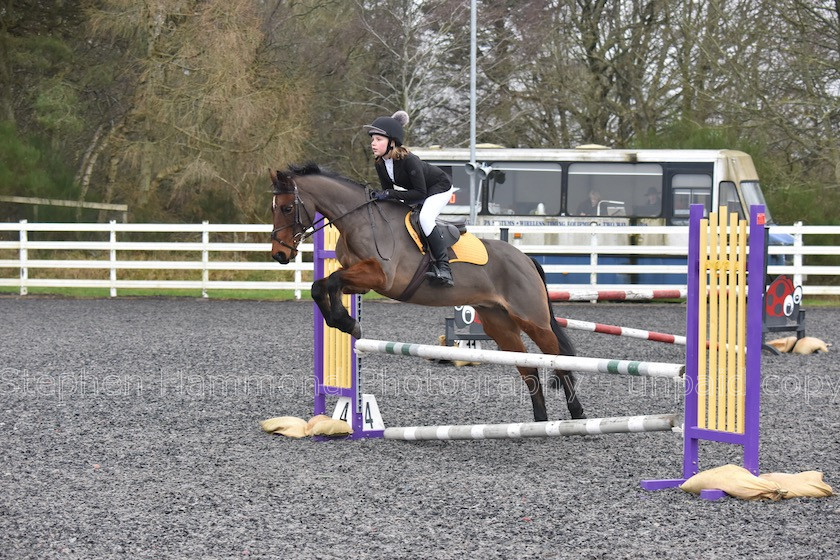 DSP 7800 
 STEPHEN HAMMOND PHOTOGRAPHY, FINDON DRESSAGE 2020