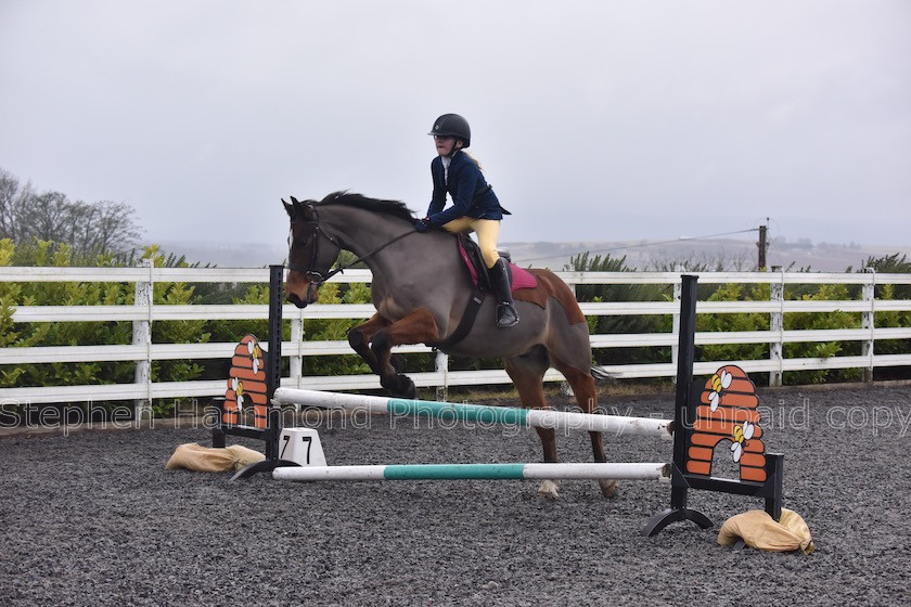 DSP 7768 
 STEPHEN HAMMOND PHOTOGRAPHY, FINDON DRESSAGE 2020