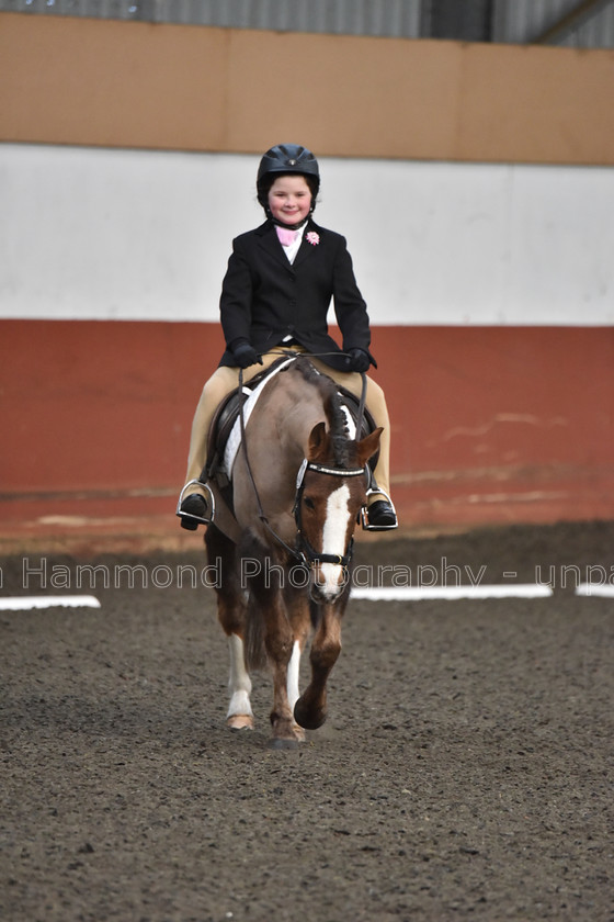 DSP 8427 
 STEPHEN HAMMOND PHOTOGRAPHY, FINDON DRESSAGE FEB 2020