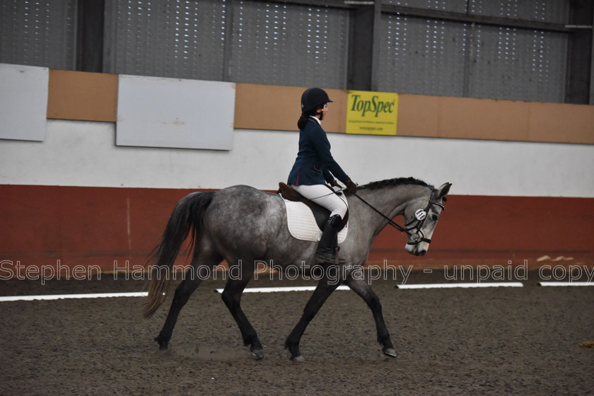 DSP 8512 
 STEPHEN HAMMOND PHOTOGRAPHY, FINDON DRESSAGE FEB 2020