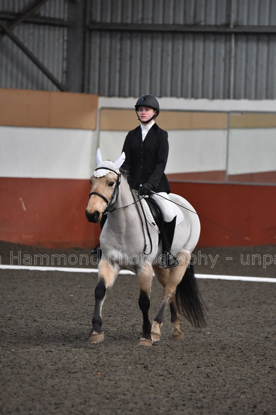 DSP 8433 
 STEPHEN HAMMOND PHOTOGRAPHY, FINDON DRESSAGE FEB 2020