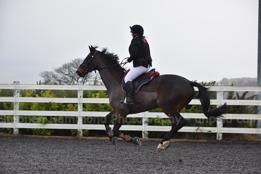 DSP 7643 
 STEPHEN HAMMOND PHOTOGRAPHY, FINDON DRESSAGE 2020