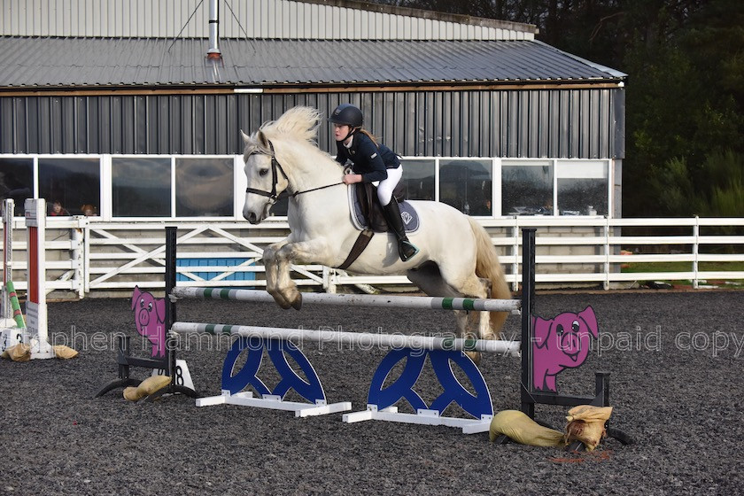 DSP 7962 
 STEPHEN HAMMOND PHOTOGRAPHY, FINDON DRESSAGE 2020