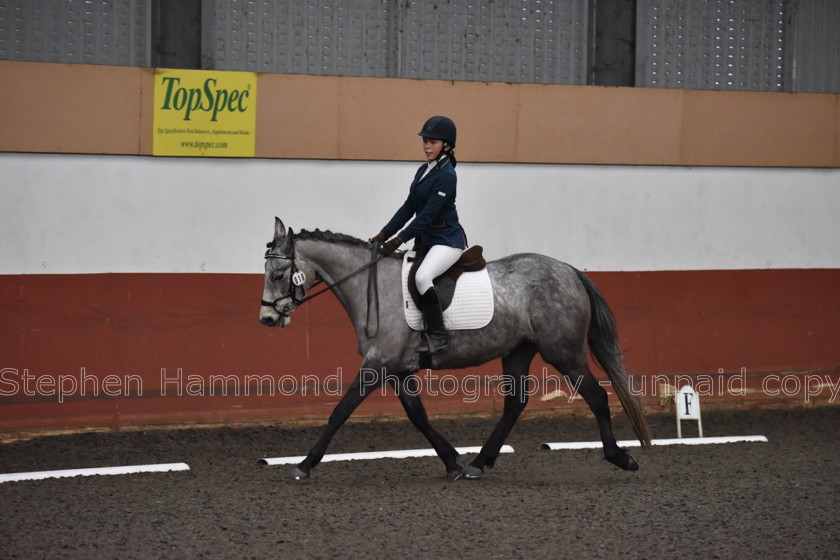 DSP 8508 
 STEPHEN HAMMOND PHOTOGRAPHY, FINDON DRESSAGE FEB 2020