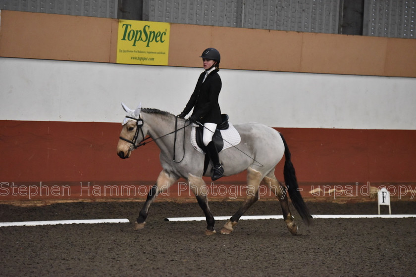 DSP 8442 
 STEPHEN HAMMOND PHOTOGRAPHY, FINDON DRESSAGE FEB 2020