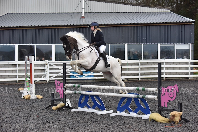 DSP 7861 
 STEPHEN HAMMOND PHOTOGRAPHY, FINDON DRESSAGE 2020