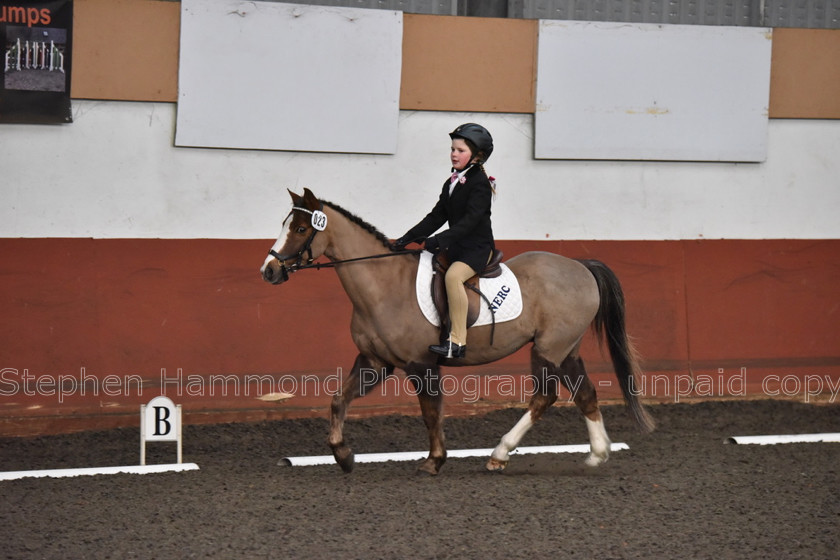 DSP 8426 
 STEPHEN HAMMOND PHOTOGRAPHY, FINDON DRESSAGE FEB 2020