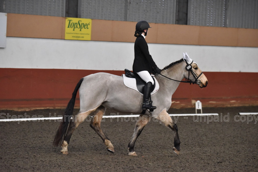 DSP 8443 
 STEPHEN HAMMOND PHOTOGRAPHY, FINDON DRESSAGE FEB 2020