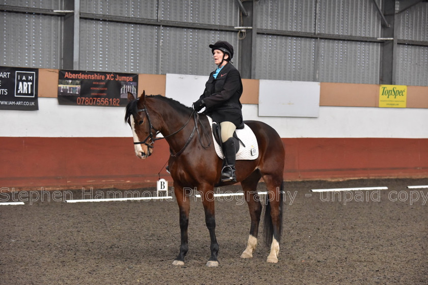 DSP 8460 
 STEPHEN HAMMOND PHOTOGRAPHY, FINDON DRESSAGE FEB 2020