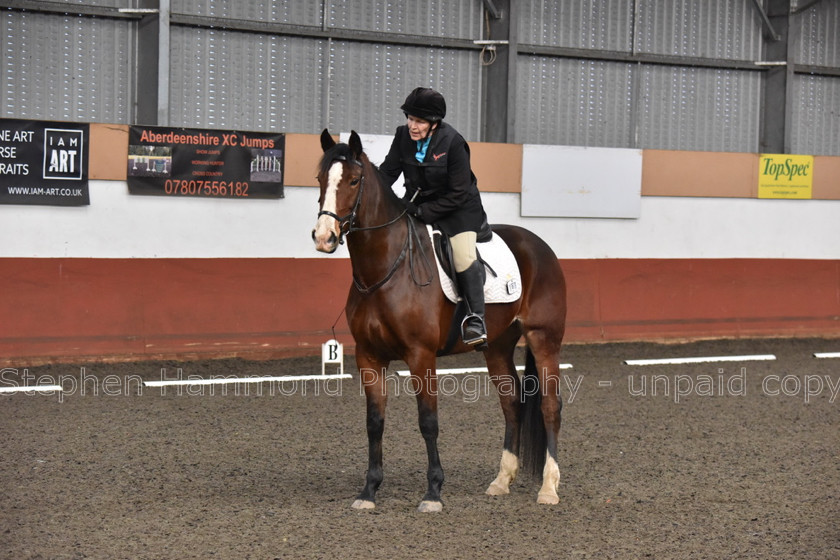 DSP 8461 
 STEPHEN HAMMOND PHOTOGRAPHY, FINDON DRESSAGE FEB 2020