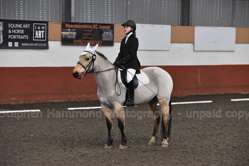 DSP 8446 
 STEPHEN HAMMOND PHOTOGRAPHY, FINDON DRESSAGE FEB 2020