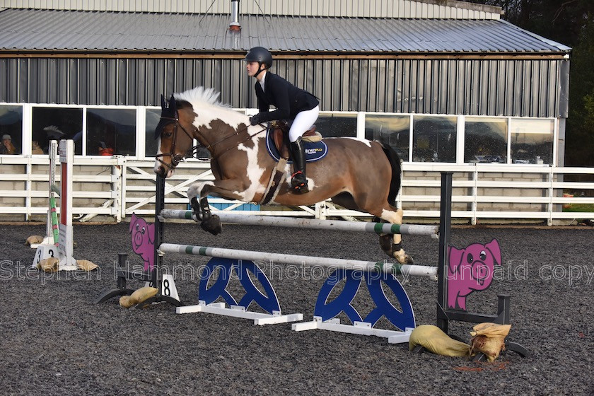 DSP 8006 
 STEPHEN HAMMOND PHOTOGRAPHY, FINDON DRESSAGE 2020