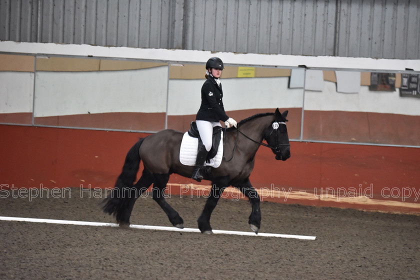 DSP 8483 
 STEPHEN HAMMOND PHOTOGRAPHY, FINDON DRESSAGE FEB 2020