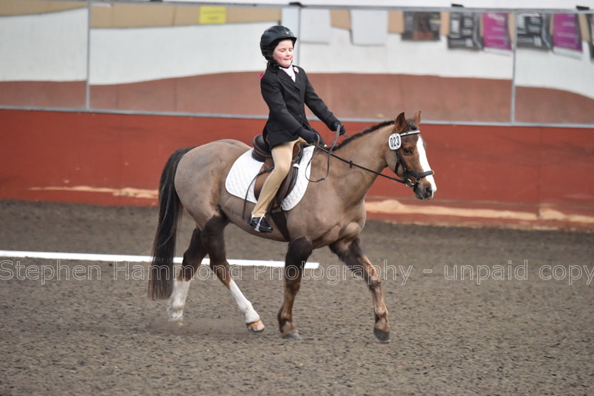 DSP 8418 
 STEPHEN HAMMOND PHOTOGRAPHY, FINDON DRESSAGE FEB 2020