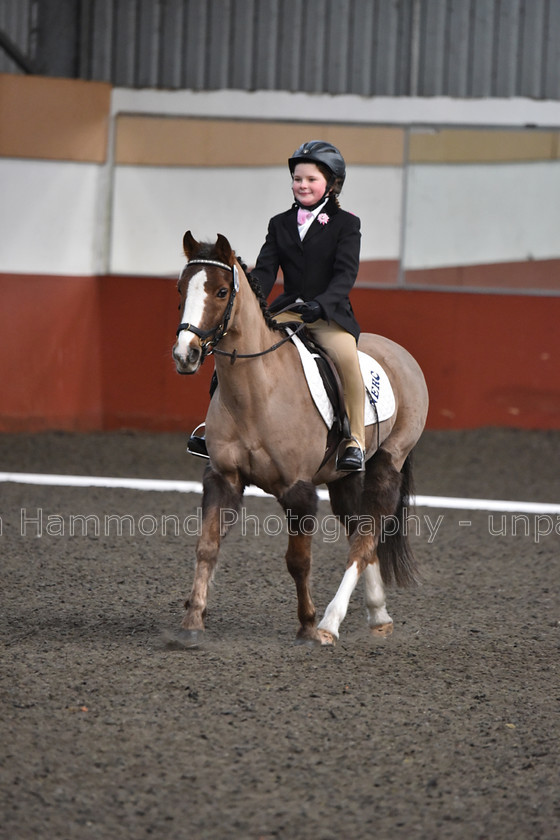 DSP 8414 
 STEPHEN HAMMOND PHOTOGRAPHY, FINDON DRESSAGE FEB 2020