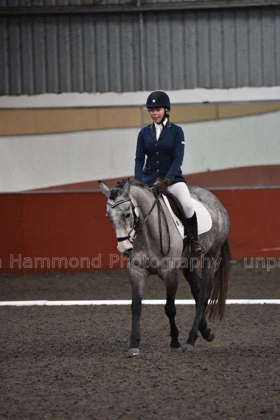 DSP 8513 
 STEPHEN HAMMOND PHOTOGRAPHY, FINDON DRESSAGE FEB 2020