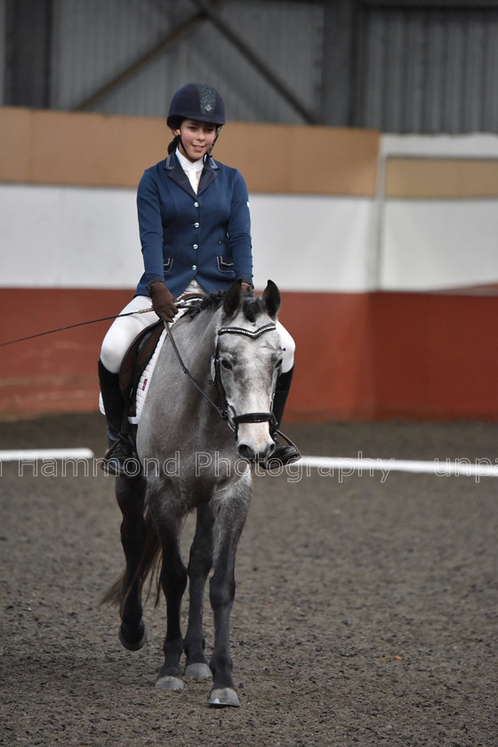 DSP 8510 
 STEPHEN HAMMOND PHOTOGRAPHY, FINDON DRESSAGE FEB 2020