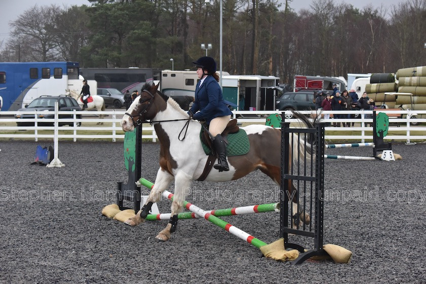 DSP 7664 
 STEPHEN HAMMOND PHOTOGRAPHY, FINDON DRESSAGE 2020