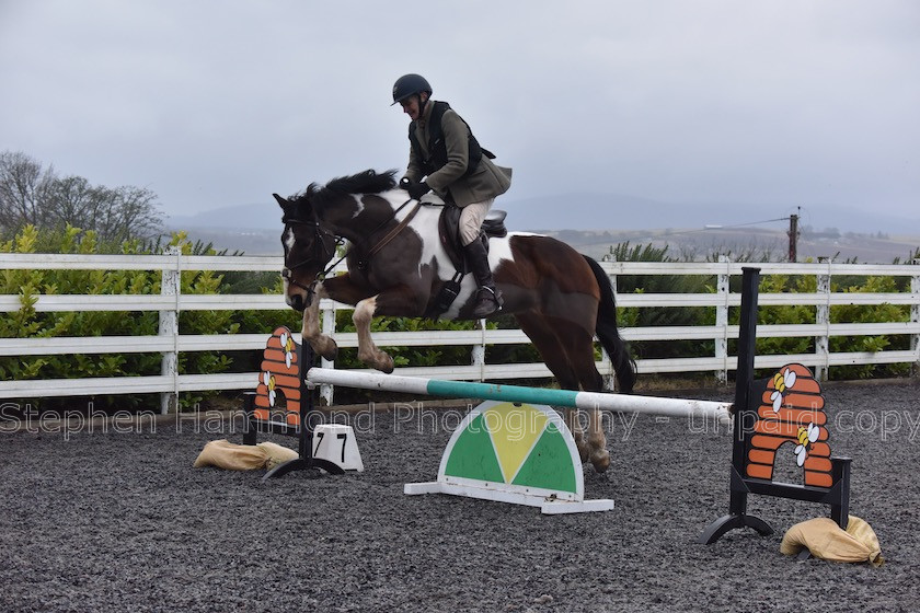 DSP 7795 
 STEPHEN HAMMOND PHOTOGRAPHY, FINDON DRESSAGE 2020