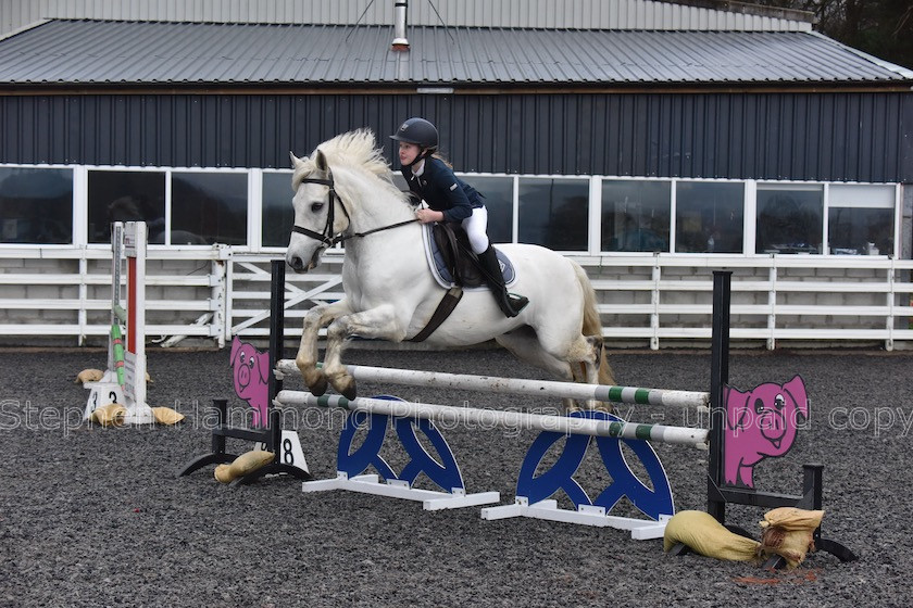 DSP 7876 
 STEPHEN HAMMOND PHOTOGRAPHY, FINDON DRESSAGE 2020