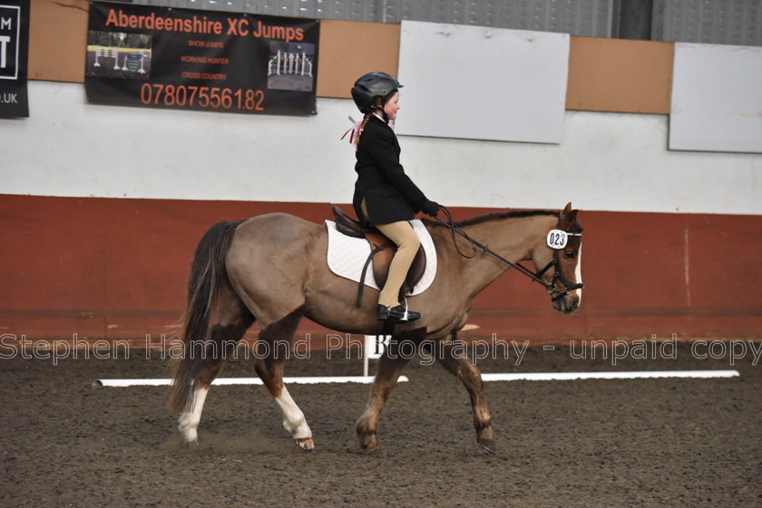 DSP 8430 
 STEPHEN HAMMOND PHOTOGRAPHY, FINDON DRESSAGE FEB 2020