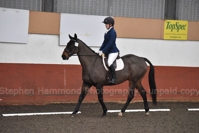 DSP 8468 
 STEPHEN HAMMOND PHOTOGRAPHY, FINDON DRESSAGE FEB 2020