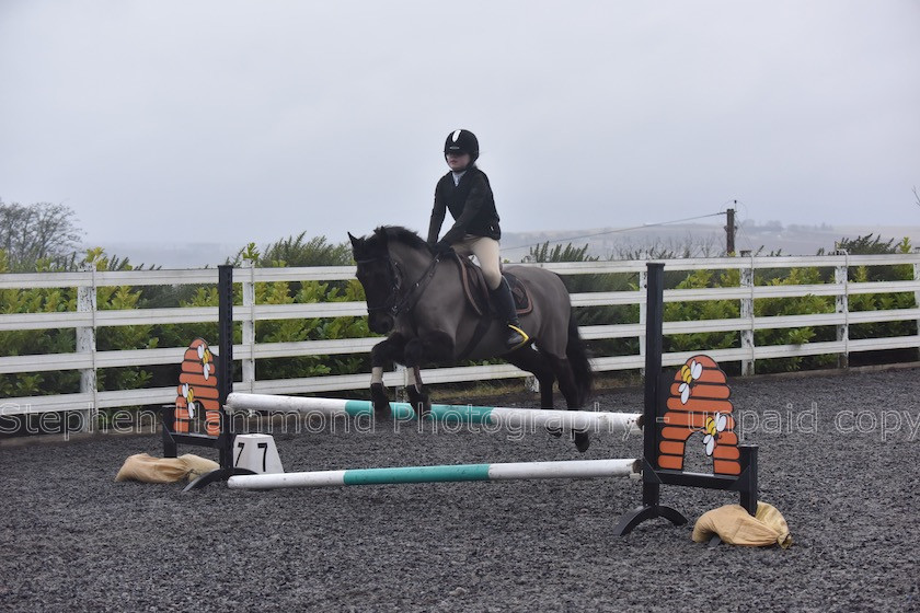 DSP 7742 
 STEPHEN HAMMOND PHOTOGRAPHY, FINDON DRESSAGE 2020