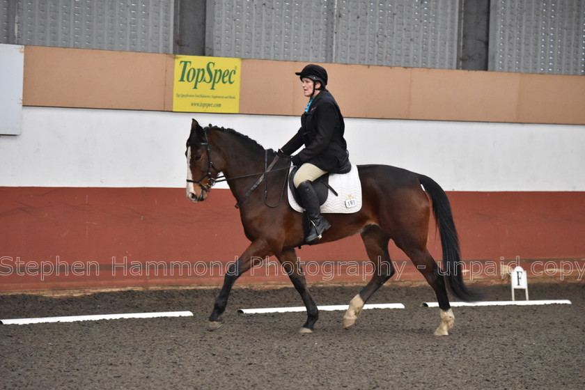 DSP 8452 
 STEPHEN HAMMOND PHOTOGRAPHY, FINDON DRESSAGE FEB 2020