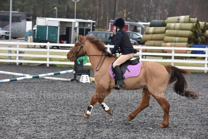 DSP 7633 
 STEPHEN HAMMOND PHOTOGRAPHY, FINDON DRESSAGE 2020