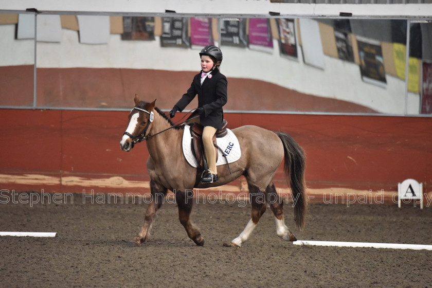 DSP 8431 
 STEPHEN HAMMOND PHOTOGRAPHY, FINDON DRESSAGE FEB 2020