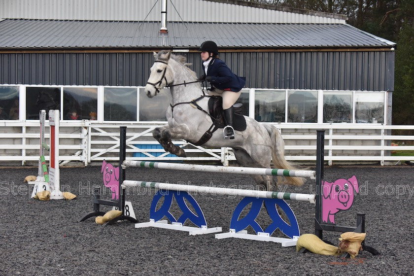 DSP 7948 
 STEPHEN HAMMOND PHOTOGRAPHY, FINDON DRESSAGE 2020