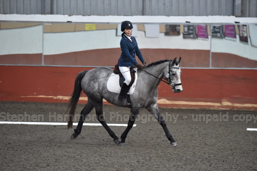 DSP 8500 
 STEPHEN HAMMOND PHOTOGRAPHY, FINDON DRESSAGE FEB 2020