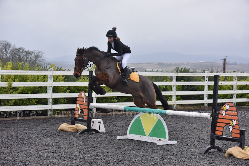 DSP 7801 
 STEPHEN HAMMOND PHOTOGRAPHY, FINDON DRESSAGE 2020