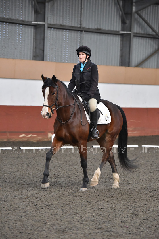 DSP 8447 
 STEPHEN HAMMOND PHOTOGRAPHY, FINDON DRESSAGE FEB 2020