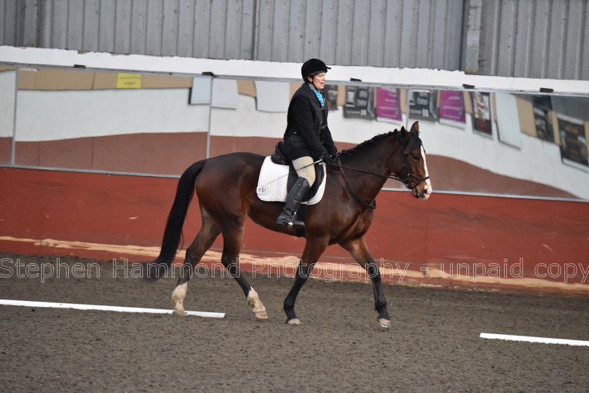 DSP 8451 
 STEPHEN HAMMOND PHOTOGRAPHY, FINDON DRESSAGE FEB 2020