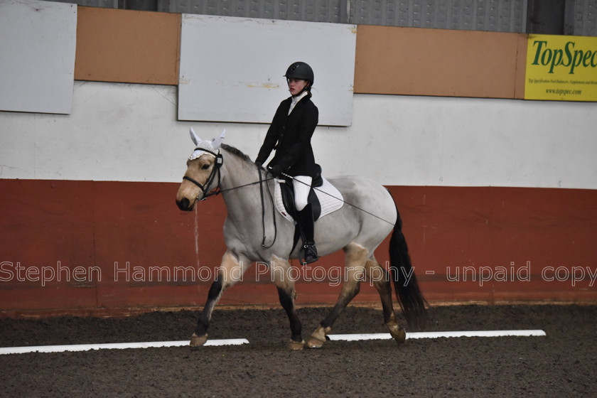 DSP 8440 
 STEPHEN HAMMOND PHOTOGRAPHY, FINDON DRESSAGE FEB 2020