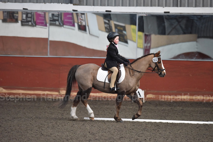 DSP 8421 
 STEPHEN HAMMOND PHOTOGRAPHY, FINDON DRESSAGE FEB 2020