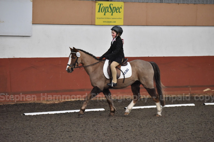 DSP 8422 
 STEPHEN HAMMOND PHOTOGRAPHY, FINDON DRESSAGE FEB 2020