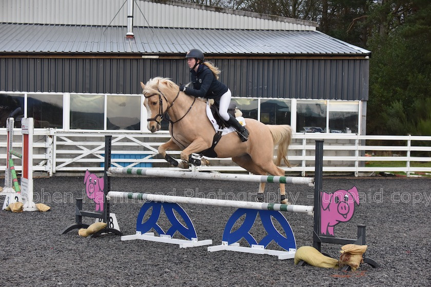 DSP 8042 
 STEPHEN HAMMOND PHOTOGRAPHY, FINDON DRESSAGE 2020