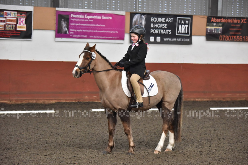 DSP 8432 
 STEPHEN HAMMOND PHOTOGRAPHY, FINDON DRESSAGE FEB 2020