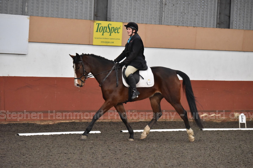 DSP 8455 
 STEPHEN HAMMOND PHOTOGRAPHY, FINDON DRESSAGE FEB 2020