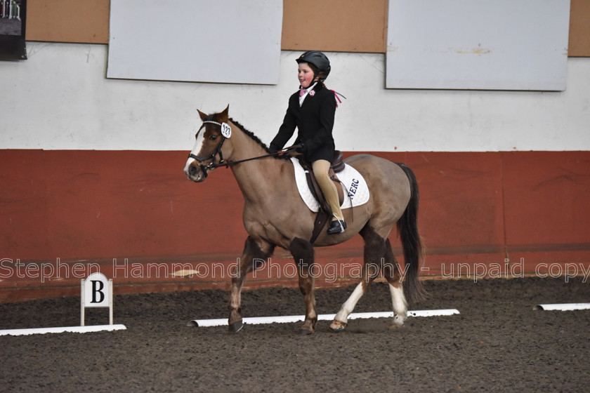 DSP 8423 
 STEPHEN HAMMOND PHOTOGRAPHY, FINDON DRESSAGE FEB 2020