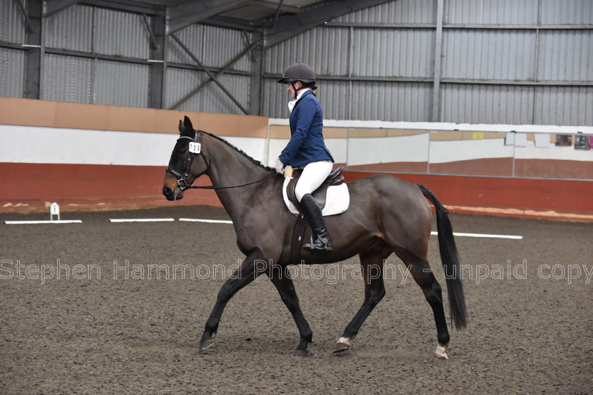 DSP 8467 
 STEPHEN HAMMOND PHOTOGRAPHY, FINDON DRESSAGE FEB 2020