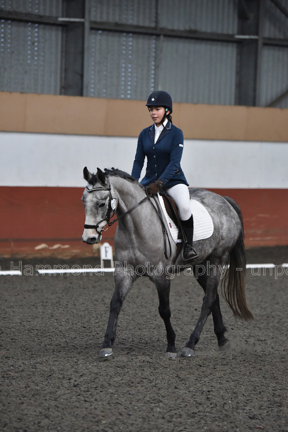 DSP 8498 
 STEPHEN HAMMOND PHOTOGRAPHY, FINDON DRESSAGE FEB 2020