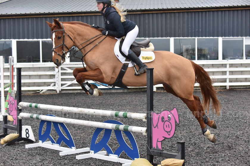 DSP 7856 
 STEPHEN HAMMOND PHOTOGRAPHY, FINDON DRESSAGE 2020