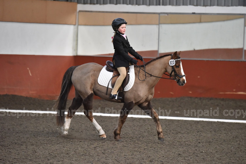 DSP 8417 
 STEPHEN HAMMOND PHOTOGRAPHY, FINDON DRESSAGE FEB 2020