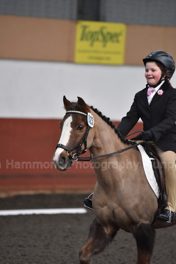 DSP 8415 
 STEPHEN HAMMOND PHOTOGRAPHY, FINDON DRESSAGE FEB 2020