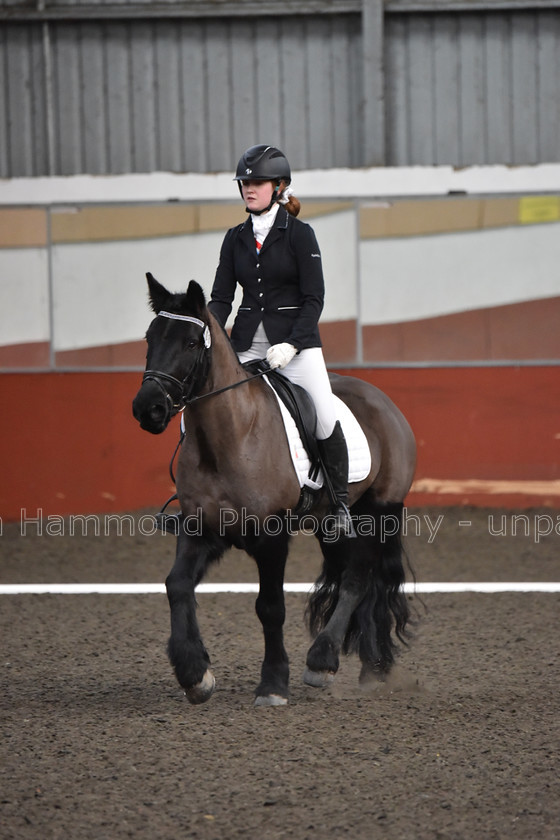 DSP 8494 
 STEPHEN HAMMOND PHOTOGRAPHY, FINDON DRESSAGE FEB 2020