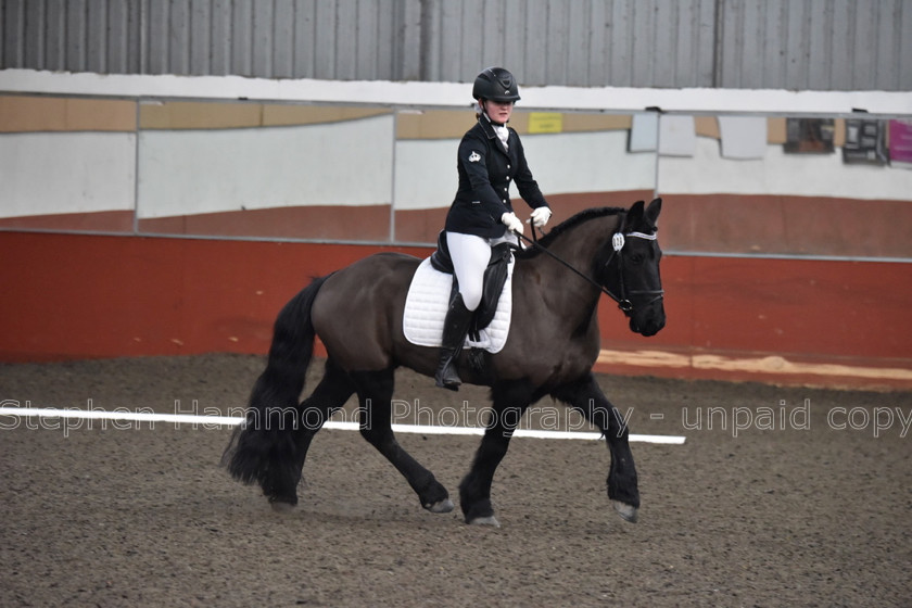 DSP 8481 
 STEPHEN HAMMOND PHOTOGRAPHY, FINDON DRESSAGE FEB 2020