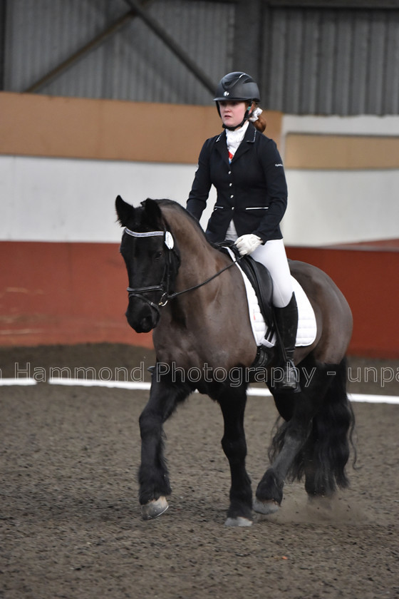 DSP 8479 
 STEPHEN HAMMOND PHOTOGRAPHY, FINDON DRESSAGE FEB 2020